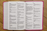 NIrV, Holy Bible, Large Print, Leathersoft